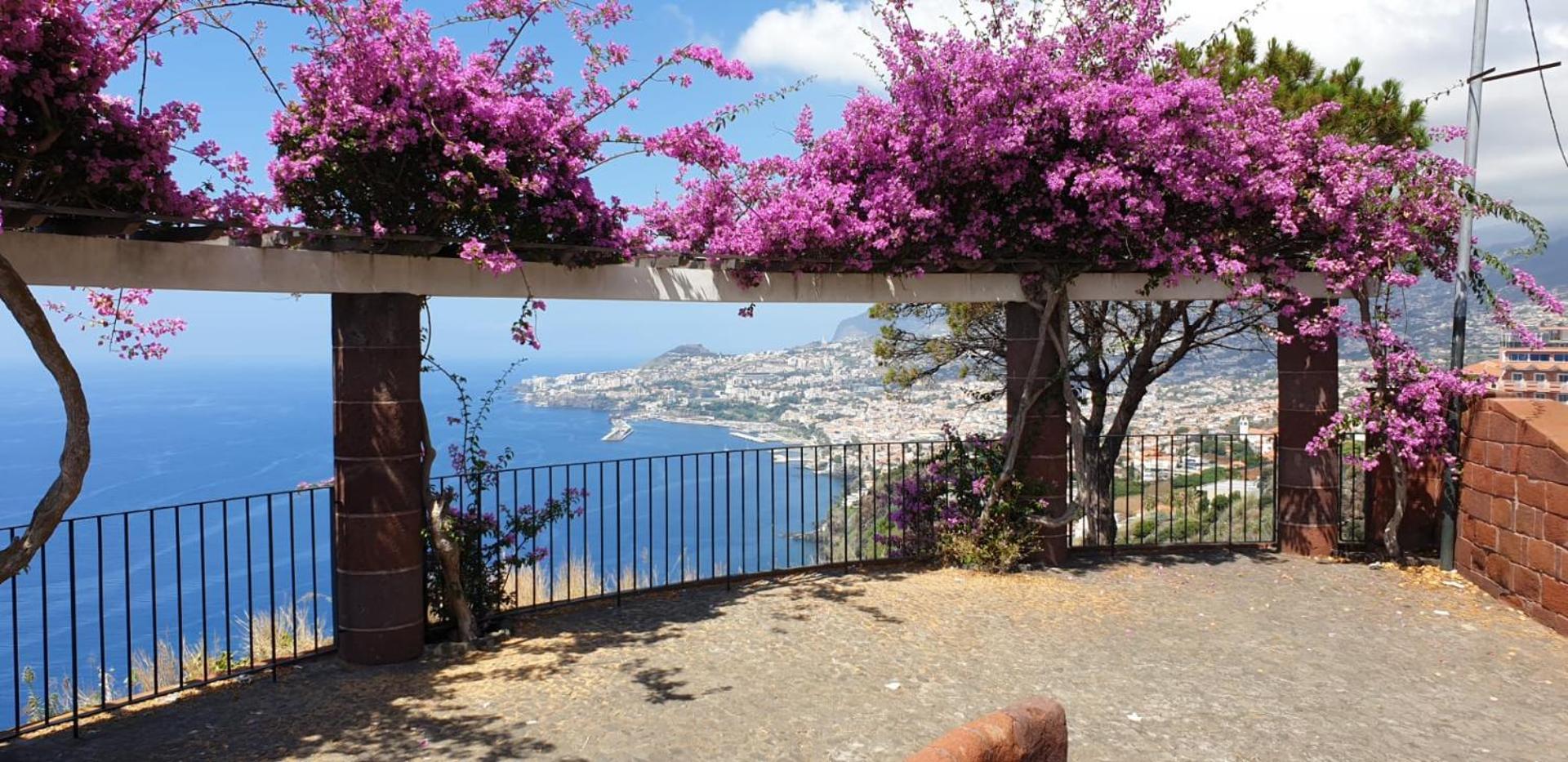 Shearwaters - Sounds Of The Sea Apartment Funchal  Room photo